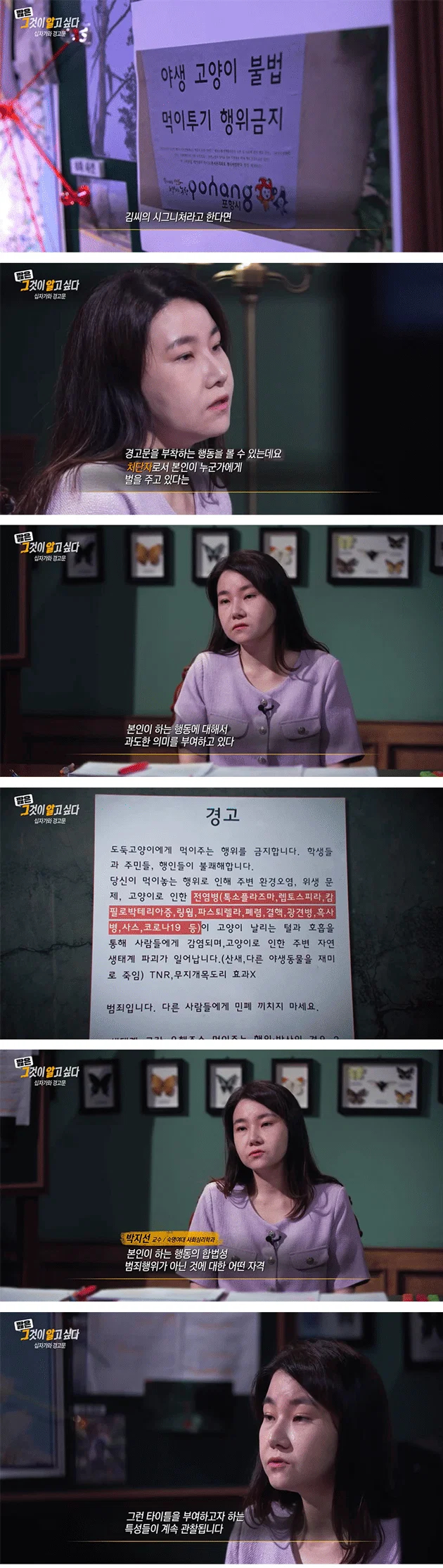 [이갤] 전문가들이 분석한 2030남자들에 고양이 혐오가 퍼지는 이유