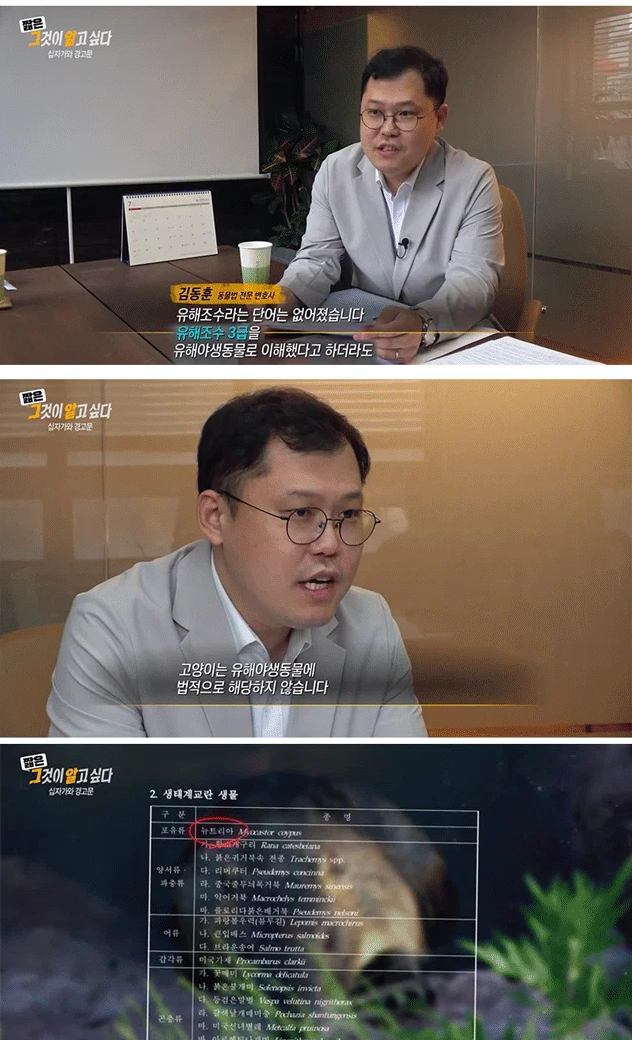 [이갤] 전문가들이 분석한 2030남자들에 고양이 혐오가 퍼지는 이유