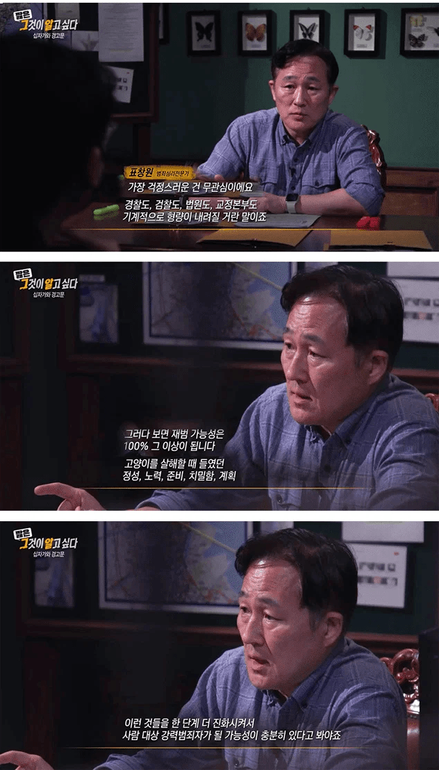 [이갤] 전문가들이 분석한 2030남자들에 고양이 혐오가 퍼지는 이유