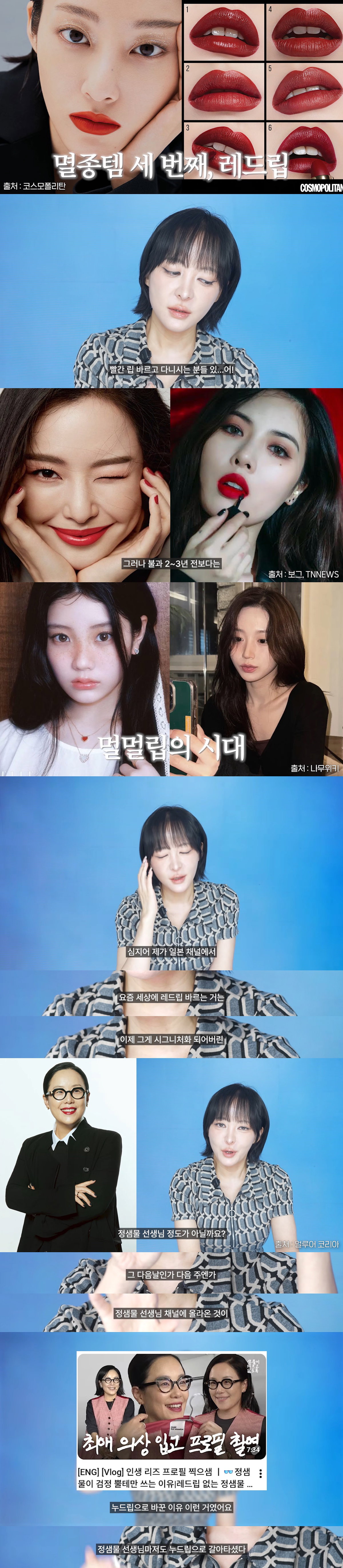 유튜버 회사원A가 생각하는 최근 대한민국 뷰티/패션계 멸종템들